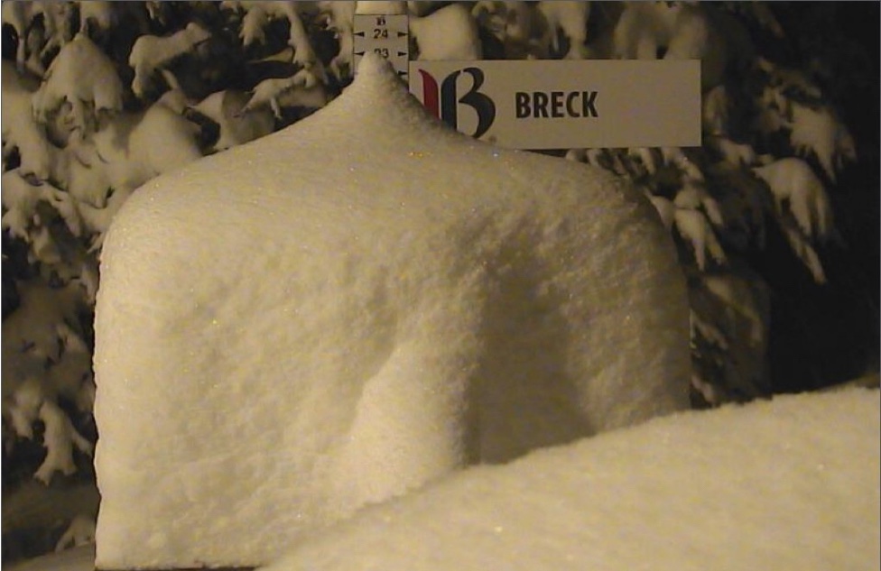 Breckenridge Snow Stake