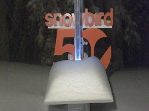 Snowbird ski resort