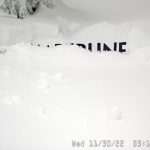 Timberline Snow stake